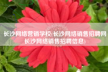 长沙网络营销学校(长沙网络销售招聘网长沙网络销售招聘信息)