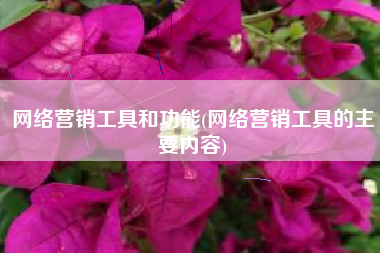 网络营销工具和功能(网络营销工具的主要内容)