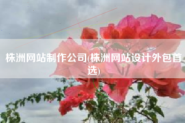 株洲网站制作公司(株洲网站设计外包首选)