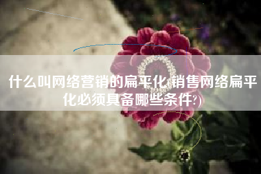 什么叫网络营销的扁平化(销售网络扁平化必须具备哪些条件?)
