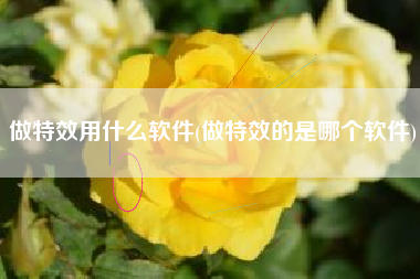 做特效用什么软件(做特效的是哪个软件)