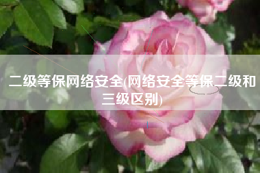 二级等保网络安全(网络安全等保二级和三级区别)