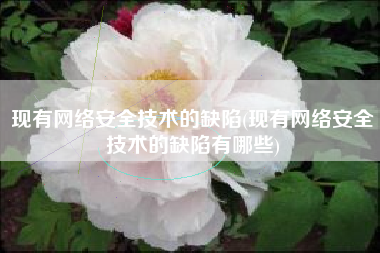 现有网络安全技术的缺陷(现有网络安全技术的缺陷有哪些)