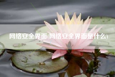网络安全界面(网络安全界面是什么)