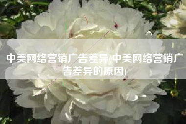 中美网络营销广告差异(中美网络营销广告差异的原因)