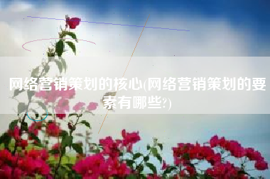 网络营销策划的核心(网络营销策划的要素有哪些?)