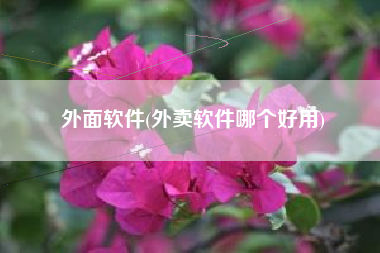 外面软件(外卖软件哪个好用)