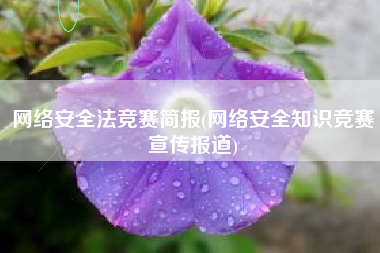 网络安全法竞赛简报(网络安全知识竞赛宣传报道)