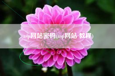asp网站密码(asp网站 教程)