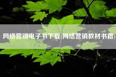 网络营销电子书下载(网络营销教材书籍)