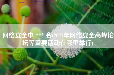 网络安全中 *** 会(2021年网络安全高峰论坛等重要活动在哪里举行)