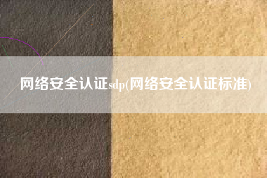 网络安全认证sdp(网络安全认证标准)