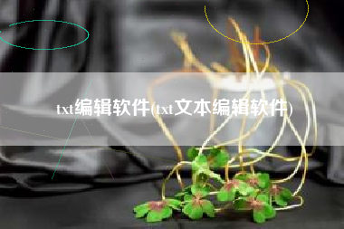 txt编辑软件(txt文本编辑软件)