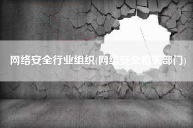 网络安全行业组织(网络安全相关部门)