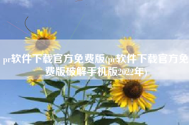 pr软件下载官方免费版(pr软件下载官方免费版破解手机版2022年)