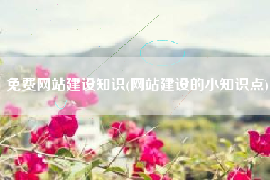 免费网站建设知识(网站建设的小知识点)