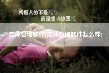 美萍管理软件(美萍管理软件怎么样)
