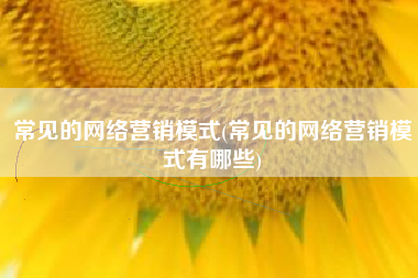 常见的网络营销模式(常见的网络营销模式有哪些)