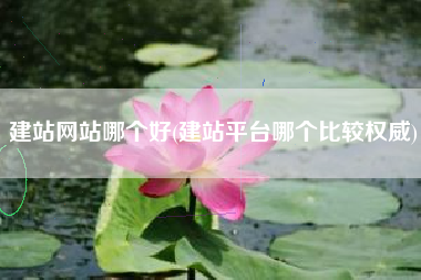 建站网站哪个好(建站平台哪个比较权威)