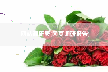 网站调研表(网页调研报告)