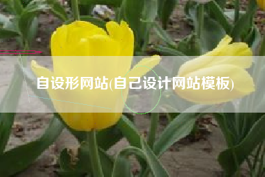 自设形网站(自己设计网站模板)