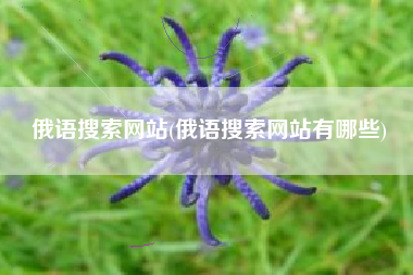 俄语搜索网站(俄语搜索网站有哪些)