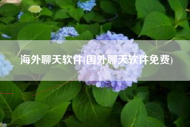 海外聊天软件(国外聊天软件免费)