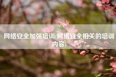 网络安全加强培训(网络安全相关的培训内容)