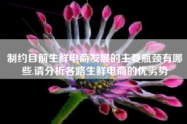 制约目前生鲜电商发展的主要瓶颈有哪些.请分析各路生鲜电商的优劣势