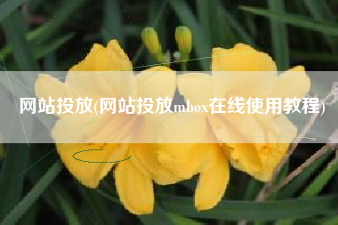 网站投放(网站投放mbox在线使用教程)