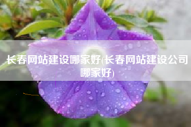 长春网站建设哪家好(长春网站建设公司哪家好)