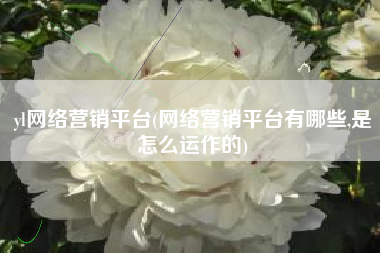 yl网络营销平台(网络营销平台有哪些,是怎么运作的)