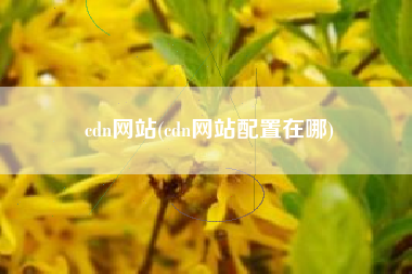 cdn网站(cdn网站配置在哪)