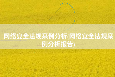 网络安全法规案例分析(网络安全法规案例分析报告)