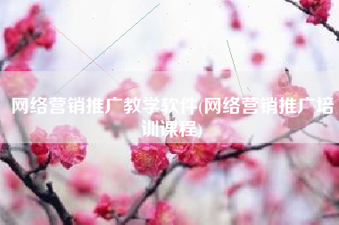 网络营销推广教学软件(网络营销推广培训课程)