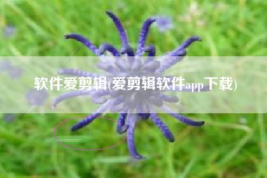 软件爱剪辑(爱剪辑软件app下载)