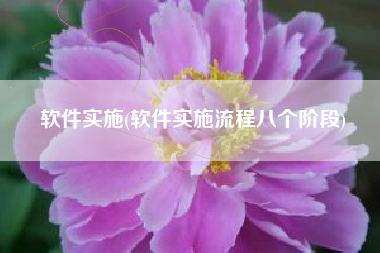 软件实施(软件实施流程八个阶段)