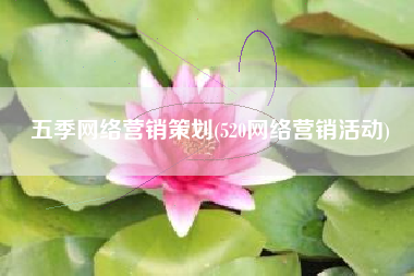 五季网络营销策划(520网络营销活动)
