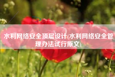 水利网络安全顶层设计(水利网络安全管理办法试行原文)