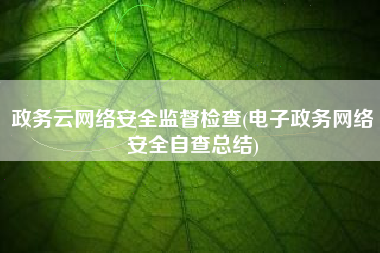政务云网络安全监督检查(电子政务网络安全自查总结)