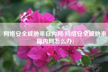 网络安全威胁来自内网(网络安全威胁来自内网怎么办)