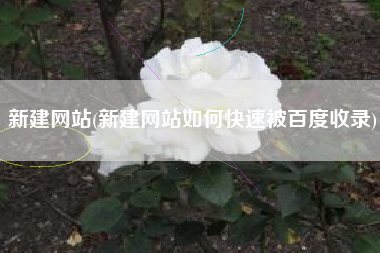 新建网站(新建网站如何快速被百度收录)