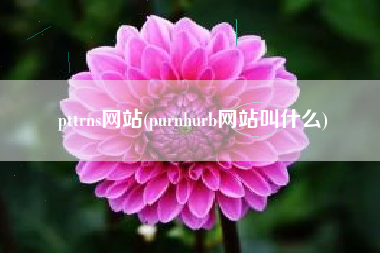 pttrns网站(purnhurb网站叫什么)