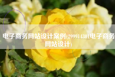 电子商务网站设计案例(299914301电子商务网站设计)