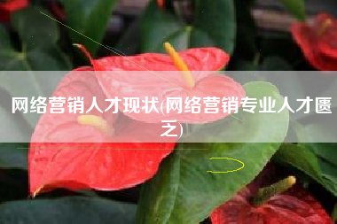 网络营销人才现状(网络营销专业人才匮乏)