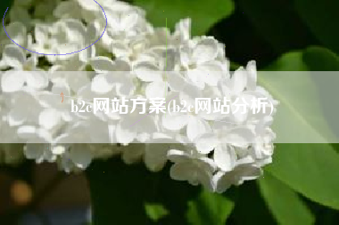 b2c网站方案(b2c网站分析)