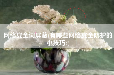 网络安全词屏蔽(有哪些网络安全防护的小技巧?)