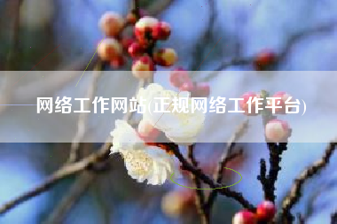 网络工作网站(正规网络工作平台)