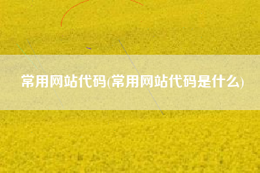 常用网站代码(常用网站代码是什么)