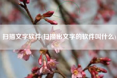 扫描文字软件(扫描出文字的软件叫什么)